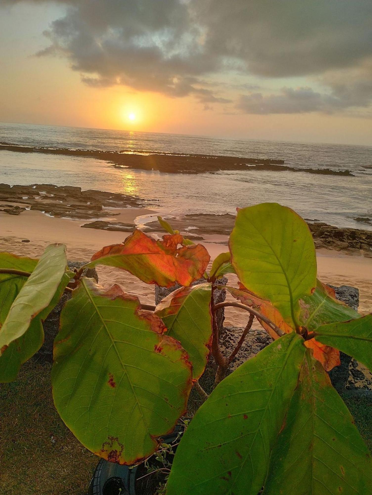 Pousada Tropicalia Tranquilidade A Beira Mar Santa Cruz Cabrália Esterno foto
